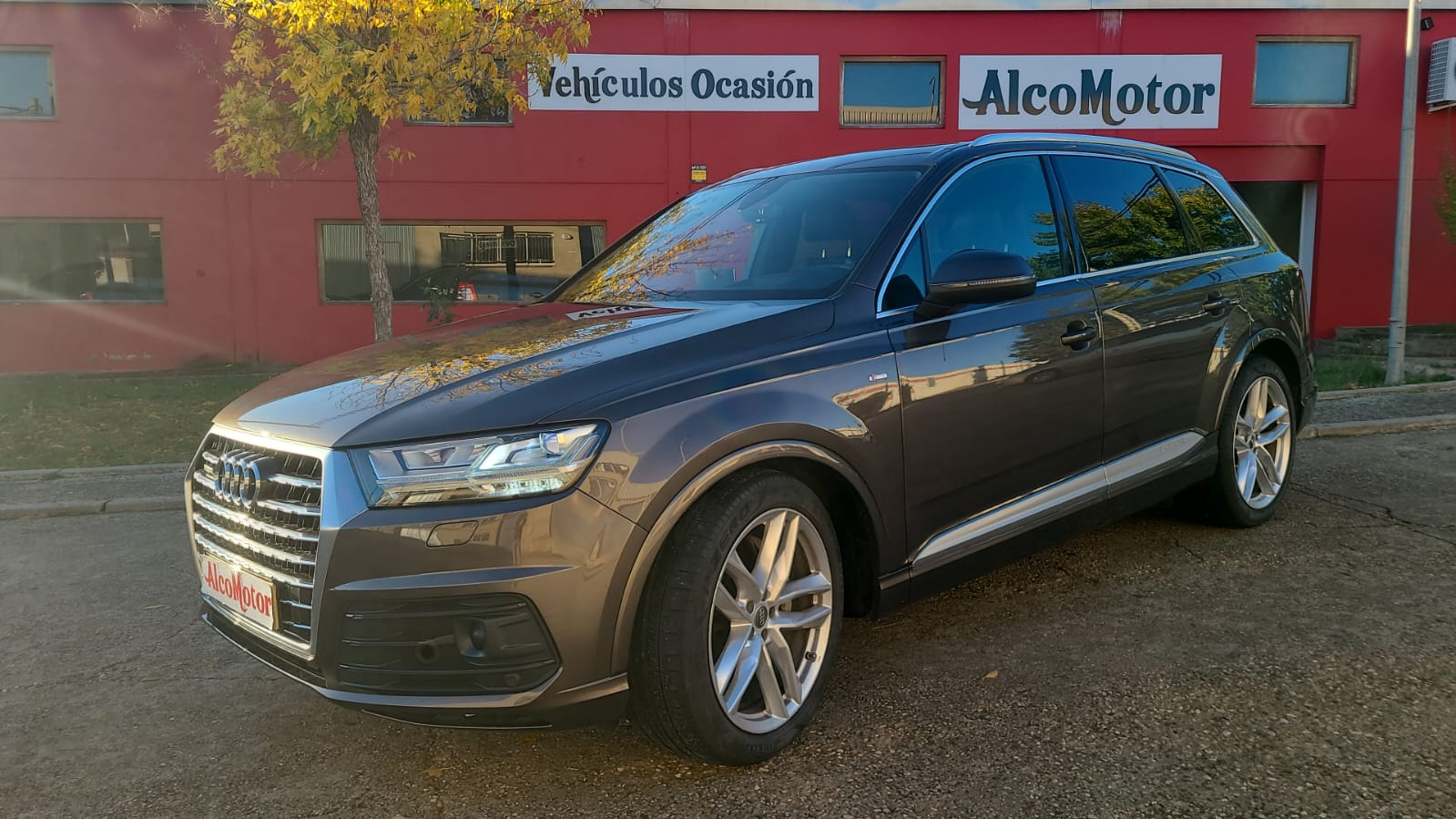 WhatsApp Image 2024-10-08 at 09.00.02