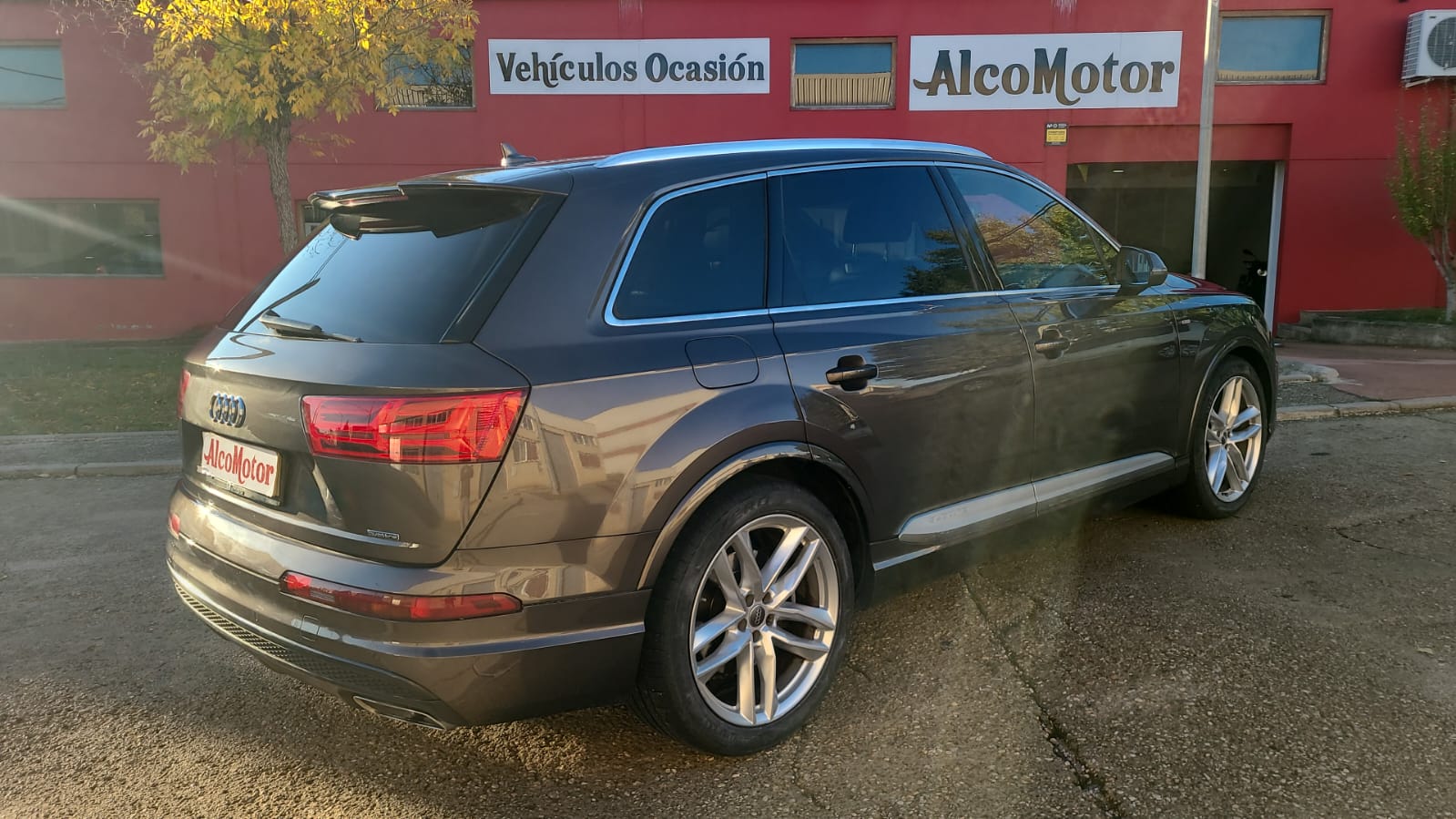 WhatsApp Image 2024-10-08 at 09.01.50