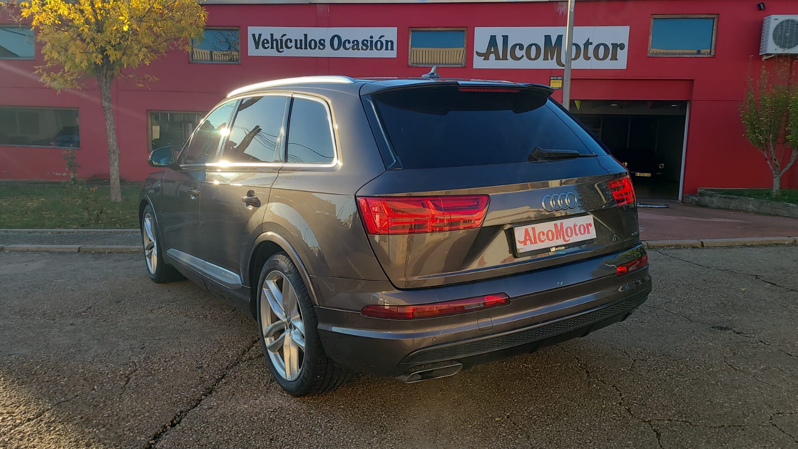 WhatsApp Image 2024-10-08 at 09.04.44