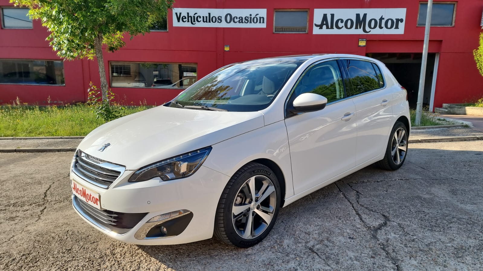 WhatsApp Image 2025-05-08 at 08.47.08