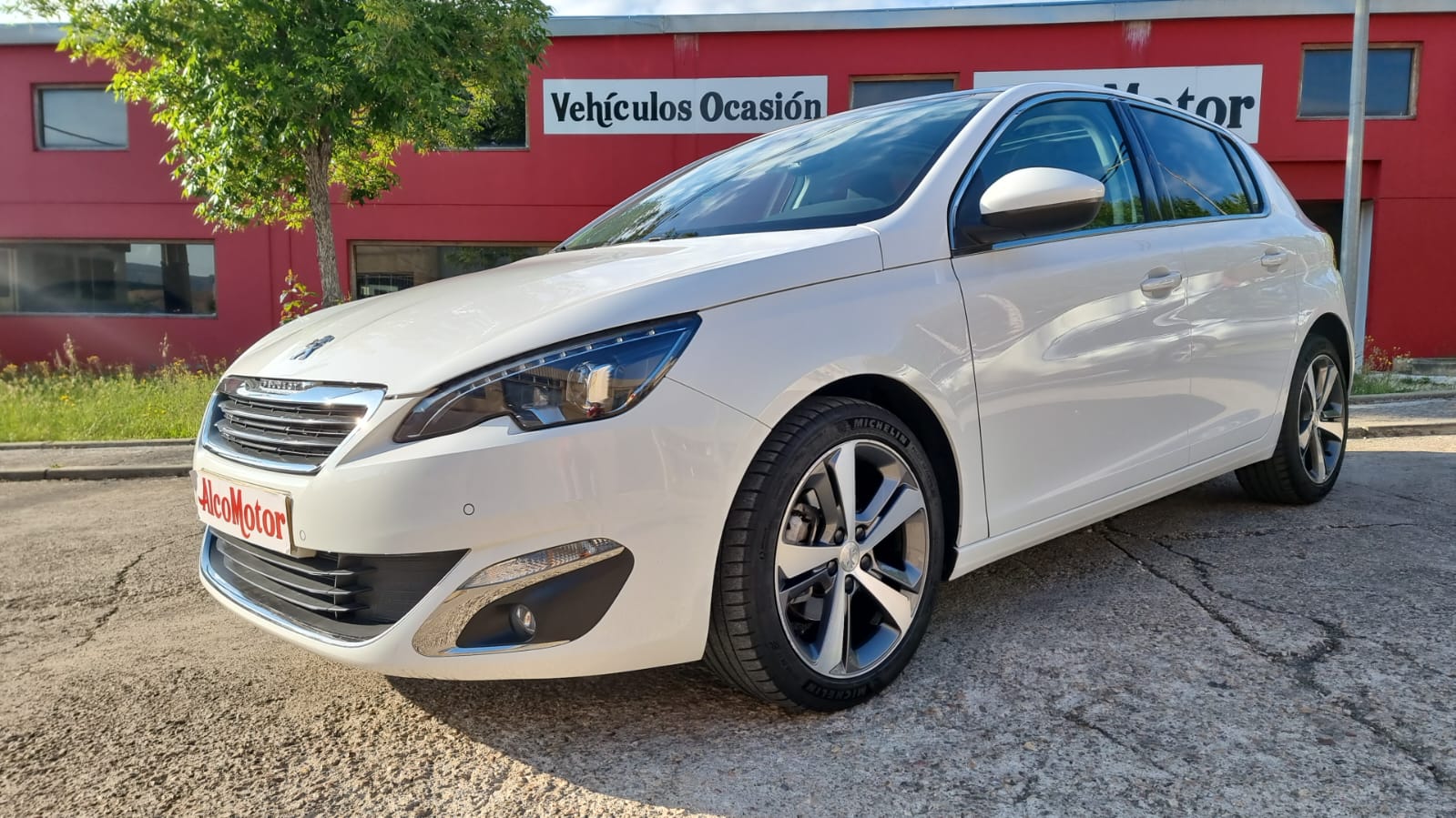 WhatsApp Image 2025-05-08 at 08.47.13