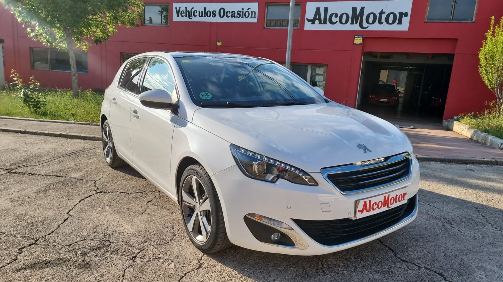 WhatsApp Image 2025-05-08 at 08.48.45