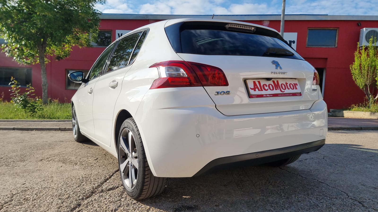 WhatsApp Image 2025-05-08 at 08.49.42