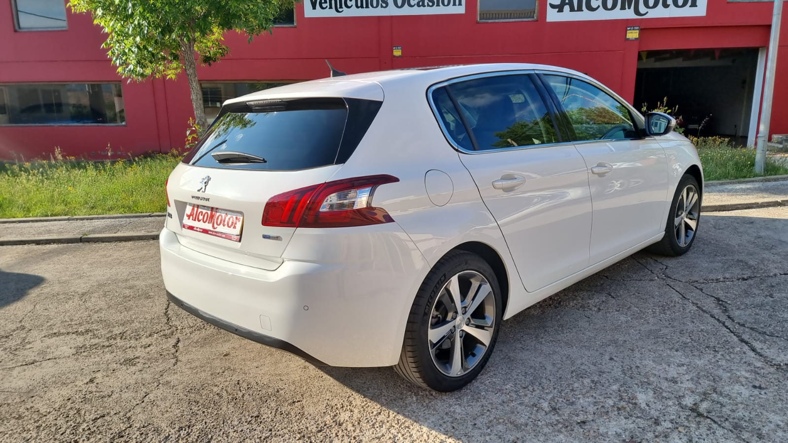 WhatsApp Image 2025-05-08 at 08.50.27