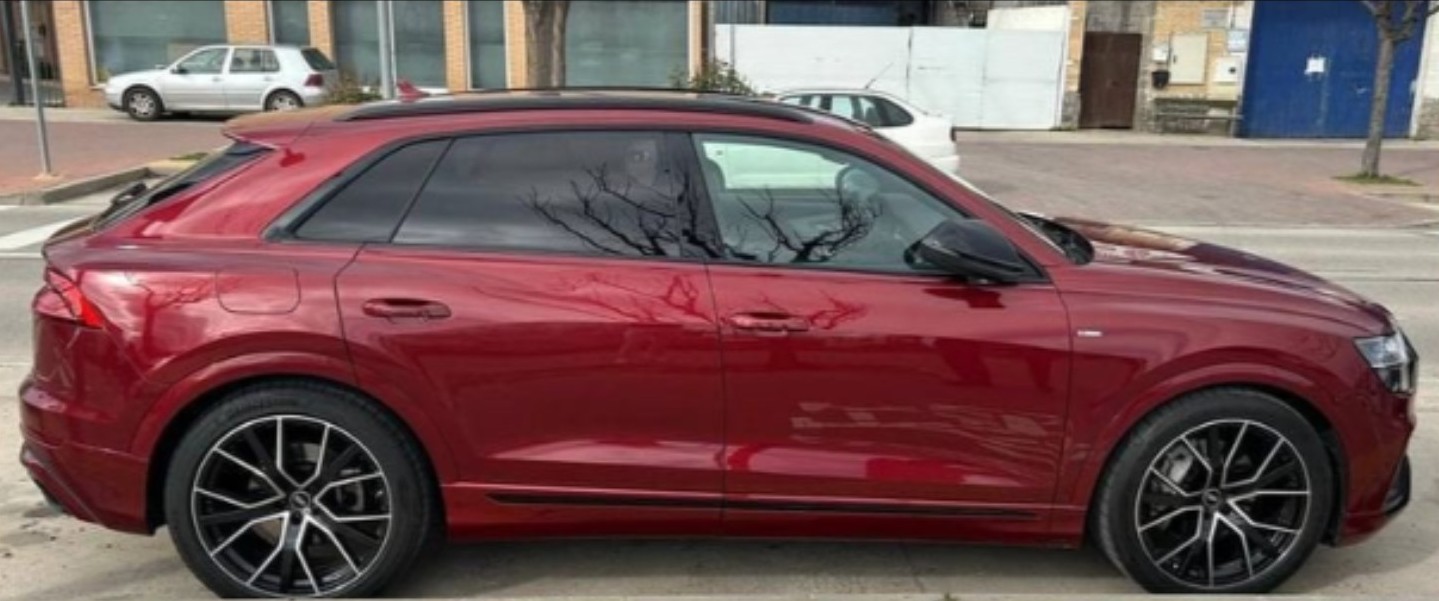 WhatsApp Image 2026-02-24 at 19.29.26