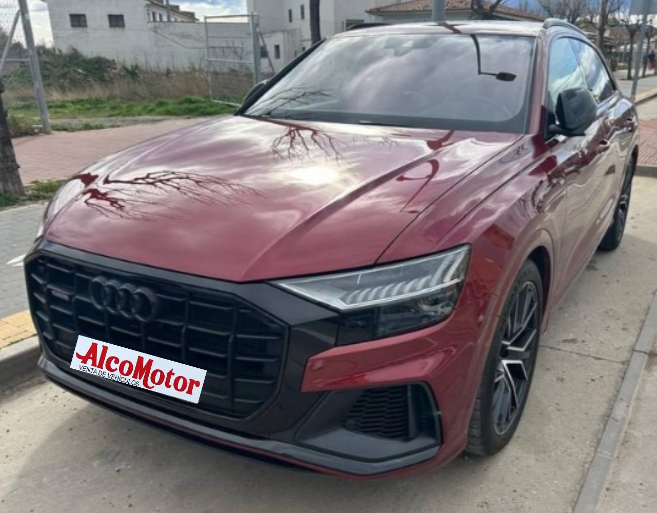 WhatsApp Image 2026-02-24 at 19.29.27 (1)